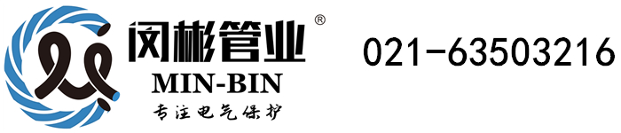 彩神彩票vIII